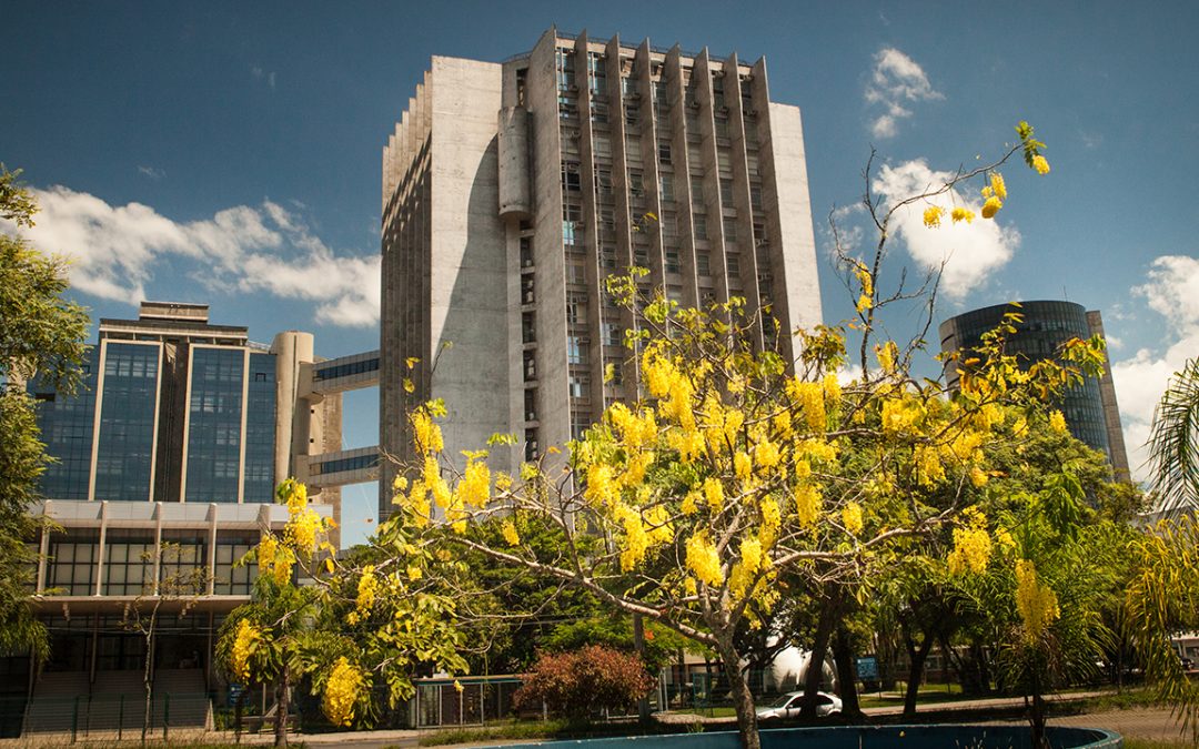 Sindalesc obtém vitória e conquista liminar para servidores da 1ª turma