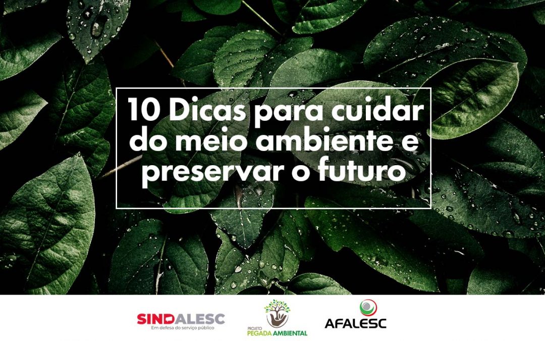 10 Dicas para cuidar do meio ambiente e preservar o futuro 🌳